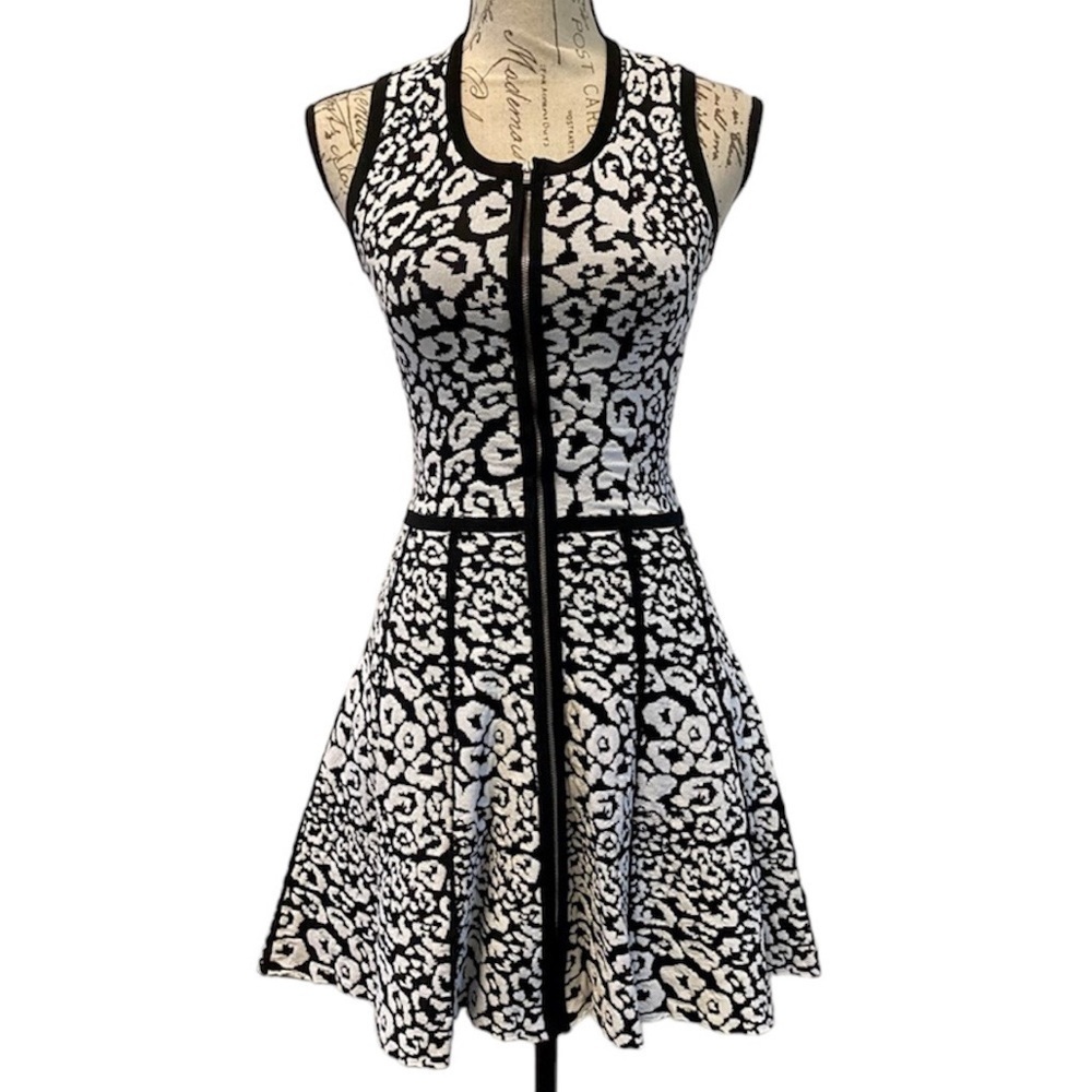 Parker Fit & Flare Dress